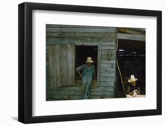 A Young Women Plucks Feathers from a Chicken, Edisto Island, South Carolina, 1956-Walter Sanders-Framed Photographic Print