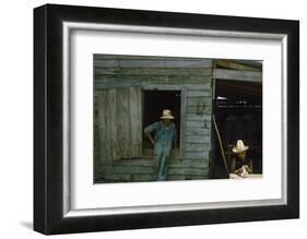 A Young Women Plucks Feathers from a Chicken, Edisto Island, South Carolina, 1956-Walter Sanders-Framed Photographic Print