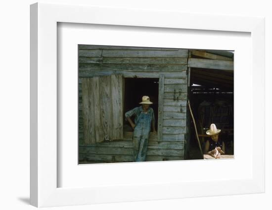 A Young Women Plucks Feathers from a Chicken, Edisto Island, South Carolina, 1956-Walter Sanders-Framed Photographic Print