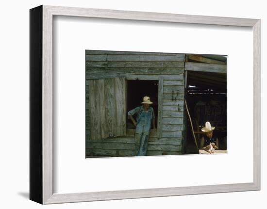 A Young Women Plucks Feathers from a Chicken, Edisto Island, South Carolina, 1956-Walter Sanders-Framed Photographic Print