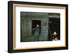 A Young Women Plucks Feathers from a Chicken, Edisto Island, South Carolina, 1956-Walter Sanders-Framed Photographic Print