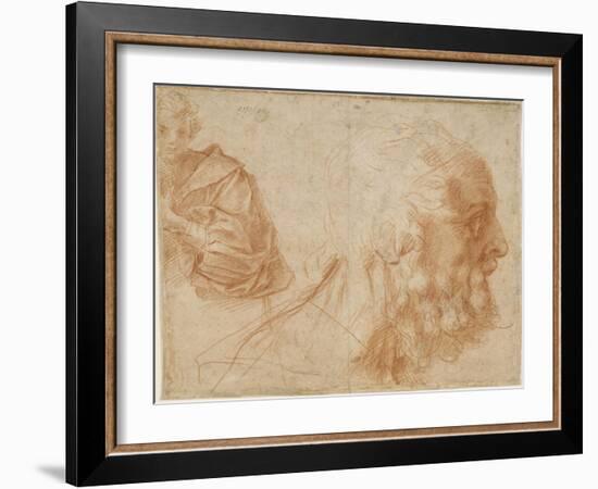 A Youth and the Head of an Old Man (Homer) Study, Ca 1521-Andrea del Sarto-Framed Giclee Print