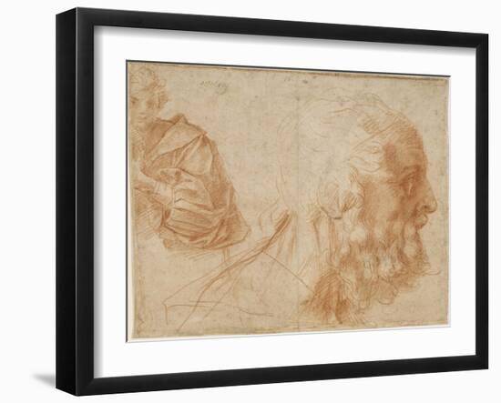 A Youth and the Head of an Old Man (Homer) Study, Ca 1521-Andrea del Sarto-Framed Giclee Print