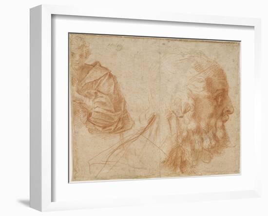 A Youth and the Head of an Old Man (Homer) Study, Ca 1521-Andrea del Sarto-Framed Giclee Print