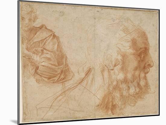 A Youth and the Head of an Old Man (Homer) Study, Ca 1521-Andrea del Sarto-Mounted Giclee Print