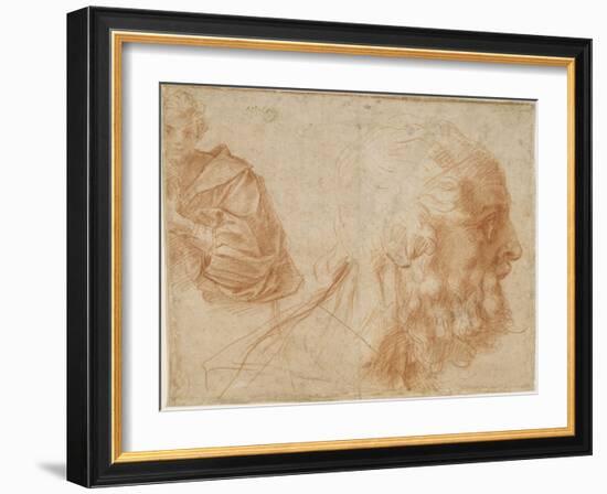 A Youth and the Head of an Old Man (Homer) Study, Ca 1521-Andrea del Sarto-Framed Giclee Print