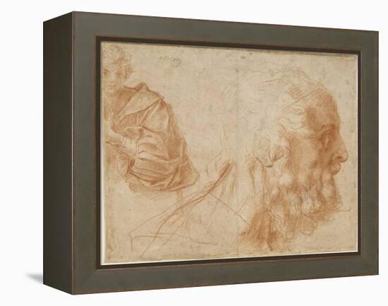 A Youth and the Head of an Old Man (Homer) Study, Ca 1521-Andrea del Sarto-Framed Premier Image Canvas