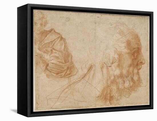 A Youth and the Head of an Old Man (Homer) Study, Ca 1521-Andrea del Sarto-Framed Premier Image Canvas