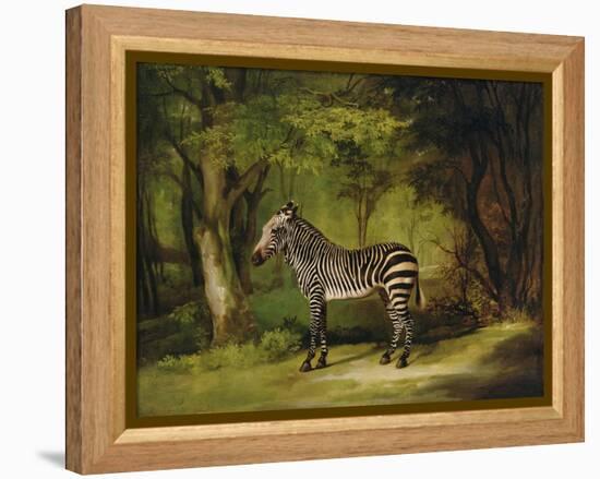 A Zebra, 1763-George Stubbs-Framed Premier Image Canvas