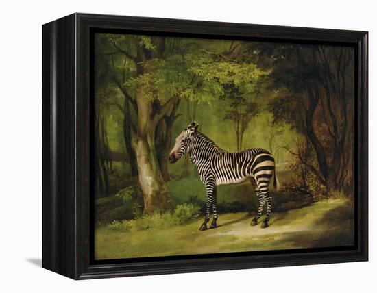 A Zebra, 1763-George Stubbs-Framed Premier Image Canvas