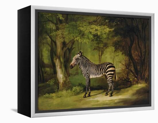 A Zebra, 1763-George Stubbs-Framed Premier Image Canvas