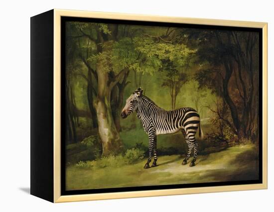 A Zebra, 1763-George Stubbs-Framed Premier Image Canvas