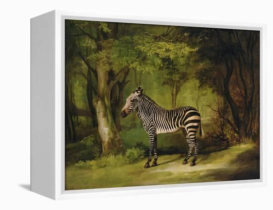 A Zebra, 1763-George Stubbs-Framed Premier Image Canvas