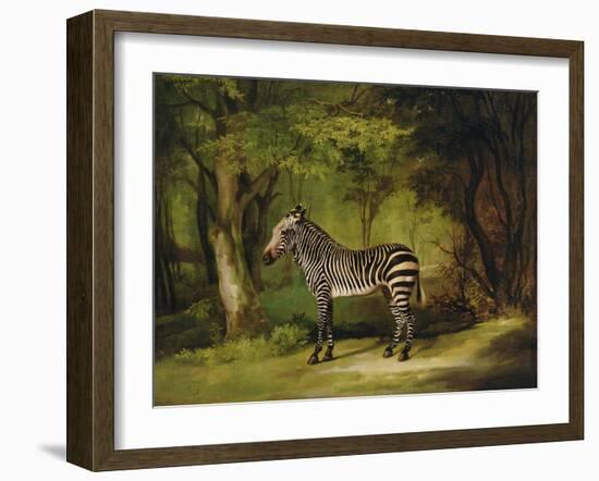 A Zebra, 1763-George Stubbs-Framed Giclee Print