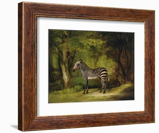 A Zebra, 1763-George Stubbs-Framed Giclee Print