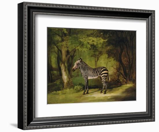 A Zebra, 1763-George Stubbs-Framed Giclee Print