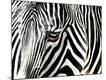 Premium Photographic Print