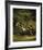 A Zebra - Focus-George Stubbs-Framed Premium Giclee Print