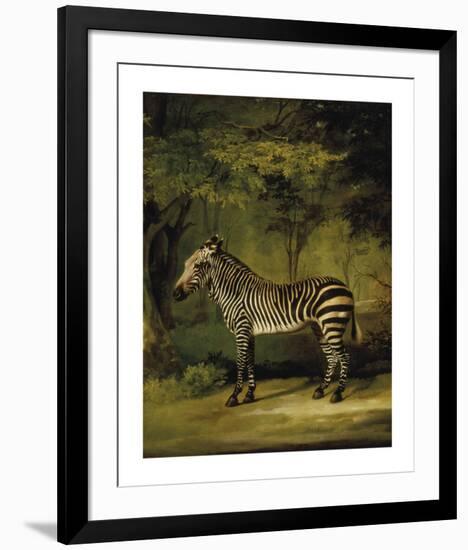 A Zebra - Focus-George Stubbs-Framed Premium Giclee Print