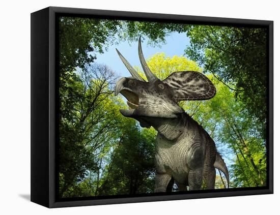 A Zuniceratops Wanders a Cretaceous Forest-Stocktrek Images-Framed Premier Image Canvas