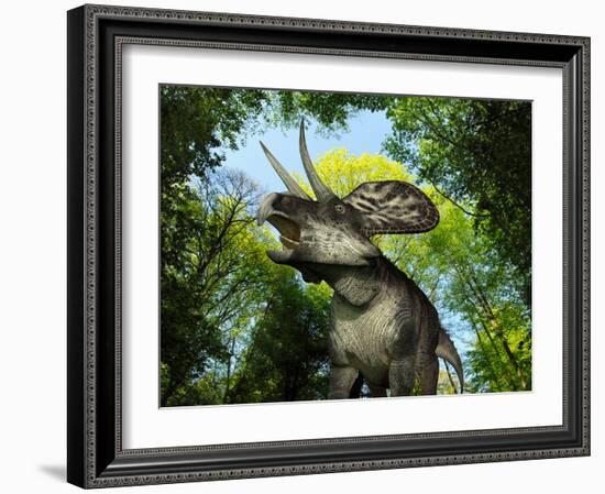 A Zuniceratops Wanders a Cretaceous Forest-Stocktrek Images-Framed Photographic Print