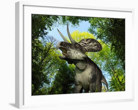 A Zuniceratops Wanders a Cretaceous Forest-Stocktrek Images-Framed Photographic Print