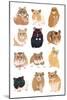 A1 Hamsters in Glasses-Hanna Melin-Mounted Giclee Print