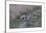A21C1734Black-backed Jackal-Bob Langrish-Framed Giclee Print