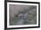 A21C1734Black-backed Jackal-Bob Langrish-Framed Giclee Print