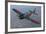A6M Japaneese Zero Flying over Chino, California-Stocktrek Images-Framed Photographic Print