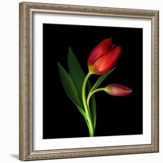 Aah! That First Caress-Magda Indigo-Framed Photographic Print