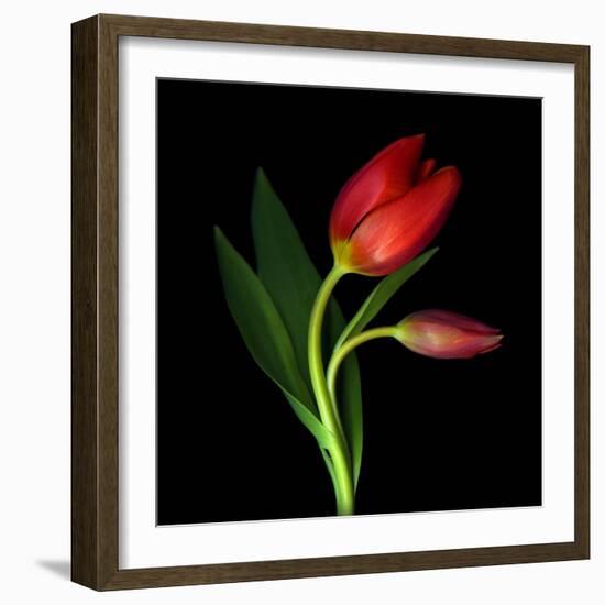 Aah! That First Caress-Magda Indigo-Framed Photographic Print