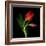 Aah! That First Caress-Magda Indigo-Framed Photographic Print