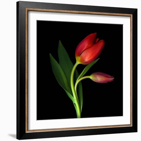 Aah! That First Caress-Magda Indigo-Framed Photographic Print