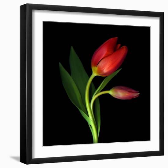 Aah! That First Caress-Magda Indigo-Framed Photographic Print