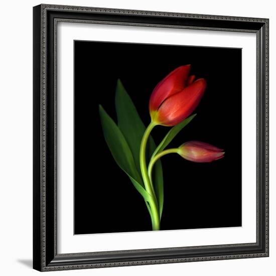 Aah! That First Caress-Magda Indigo-Framed Photographic Print