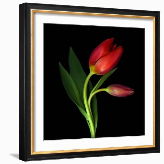 Aah! That First Caress-Magda Indigo-Framed Photographic Print