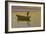 Aalestangeren-Michael Peter Ancher-Framed Giclee Print