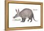 Aardvark or Antbear (Orycteropus Afer), Mammals-Encyclopaedia Britannica-Framed Stretched Canvas