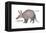 Aardvark or Antbear (Orycteropus Afer), Mammals-Encyclopaedia Britannica-Framed Stretched Canvas