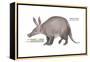 Aardvark or Antbear (Orycteropus Afer), Mammals-Encyclopaedia Britannica-Framed Stretched Canvas