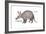 Aardvark or Antbear (Orycteropus Afer), Mammals-Encyclopaedia Britannica-Framed Art Print