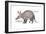 Aardvark or Antbear (Orycteropus Afer), Mammals-Encyclopaedia Britannica-Framed Art Print