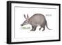 Aardvark or Antbear (Orycteropus Afer), Mammals-Encyclopaedia Britannica-Framed Art Print