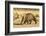 Aardvark (Orycteropus afer), young individual walking, Nambia. Captive, rescued individual-Emanuele Biggi-Framed Photographic Print