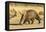 Aardvark (Orycteropus afer), young individual walking, Nambia. Captive, rescued individual-Emanuele Biggi-Framed Premier Image Canvas