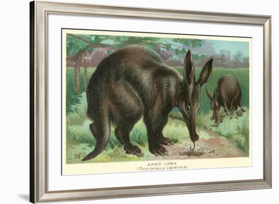 Aardvarks-null-Framed Art Print