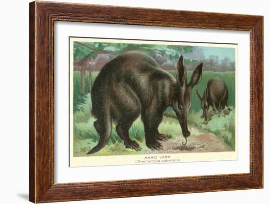 Aardvarks-null-Framed Art Print