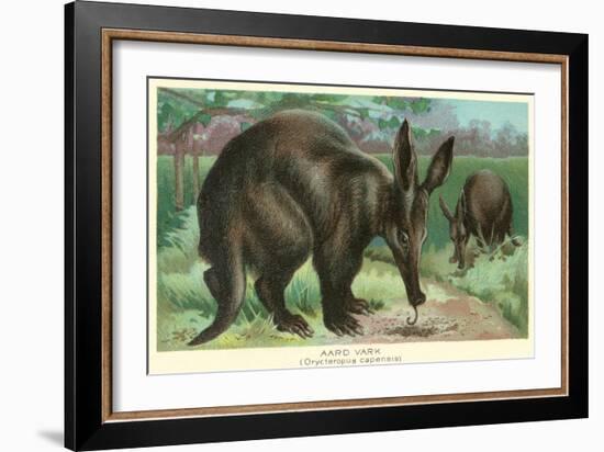 Aardvarks-null-Framed Art Print