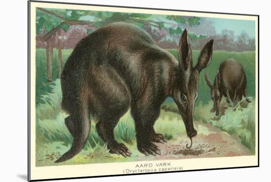 Aardvarks-null-Mounted Art Print